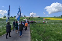 PXL_20240509_085326510